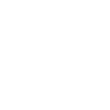 VRDK